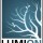 Lumion Pro 13.8 Crack + License Key Free Download [2025]