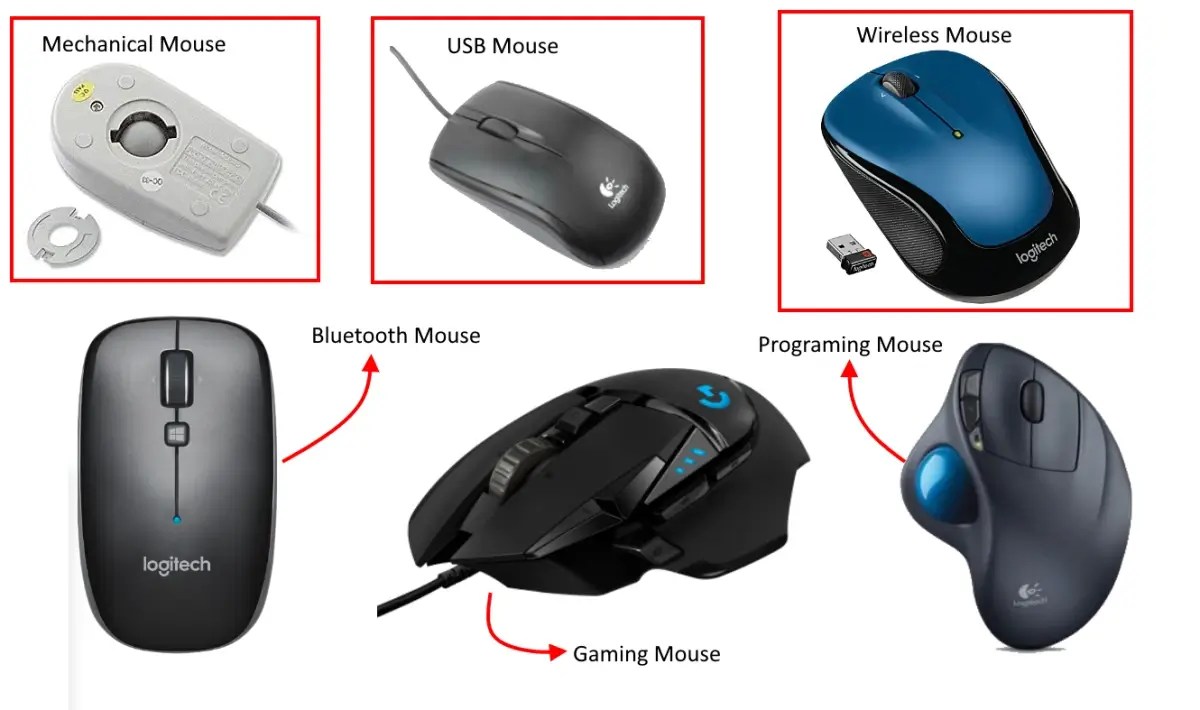 Types Of Mouse In Computer