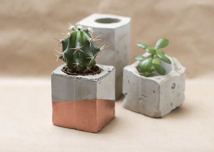 Concrete trend plants