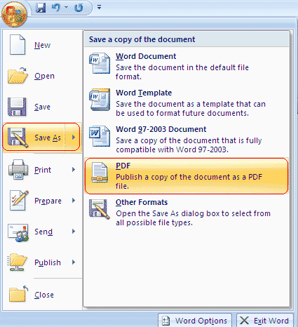Convert Document Microsoft Office 2007 ke PDF menggunakan Microsoft Office  Add-In | All About Share Knowledge