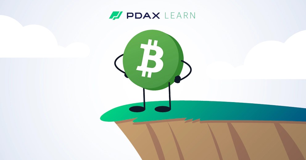 Bitcoin Cash (BCH)–the “other Bitcoin”