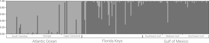 Using Structure Pavel Dimens - High Quality Sunset Illustration - 4K