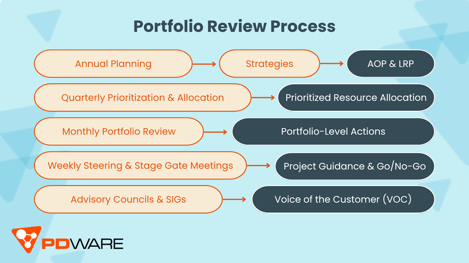 Portfolio Review Process Infographic