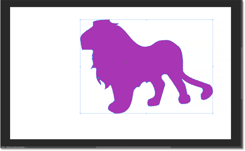 How to Draw Custom Shapes in Photoshop 83 Click on the shape with the Path Selection Tool so the path outline is visible.