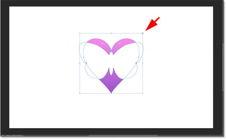 How to Draw Custom Shapes in Photoshop 265 The heart shape resizes but the butterfly does not.