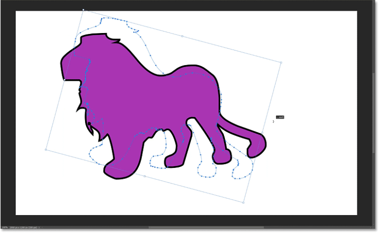 How to Draw Custom Shapes in Photoshop 47 Dragging outside a transform handle to rotate the custom shape.
