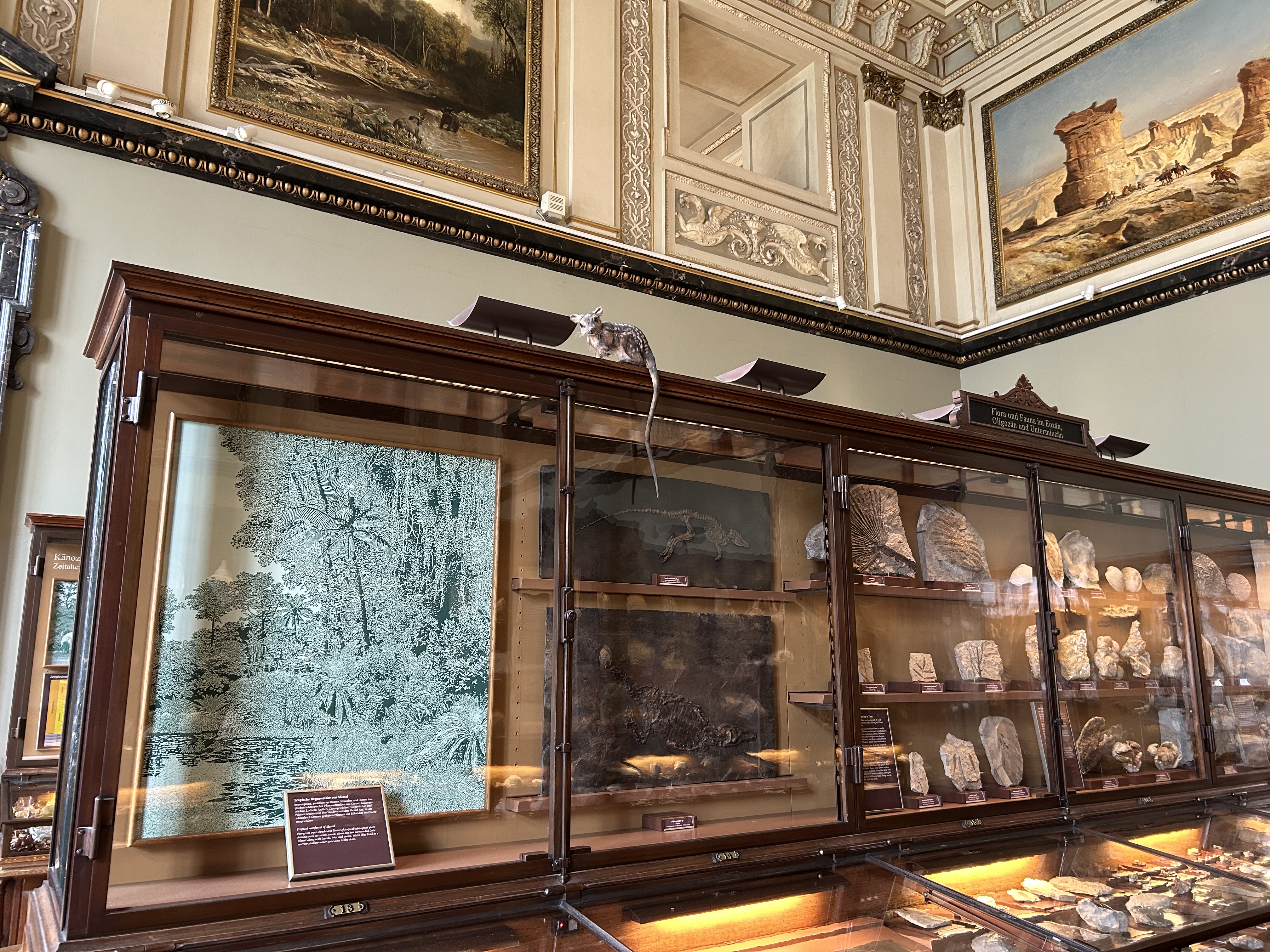 Naturhistorisches Museum Wien – The Peabody