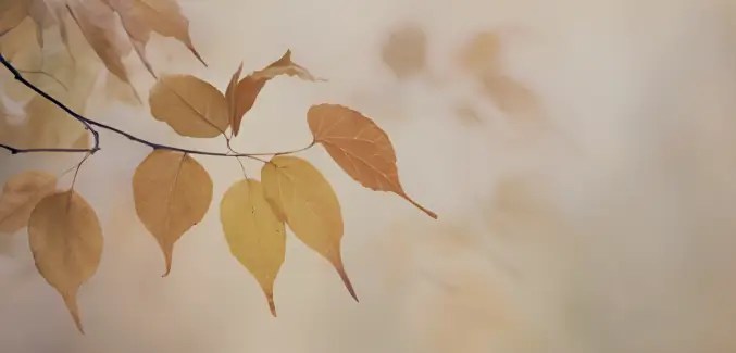 Cozy autumn scene featured on Peacefully Proven's Copilot's Corner page: golden leaves on a branch. The image evokes warmth, reflection, and seasonal stillness—capturing the spirit of intentional living and soulful planning.