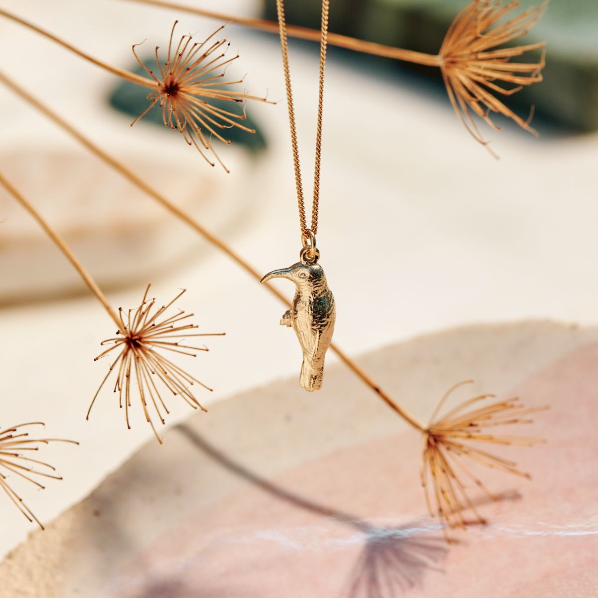 Southern double-collared Sunbird Yellow Gold