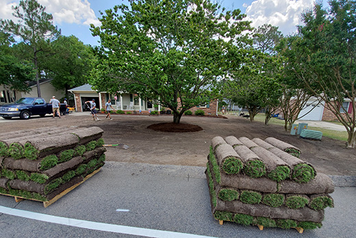 Local Sod Near Me Southern Wake County