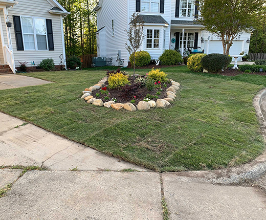 Sod Installation in Amherst Neighborhood of Apex
