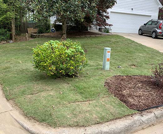 Sod Installation in Scott's Hill Neighborhood of Apex