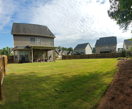 Sod Installation in Holly Springs Neighborhood of Forest Springs