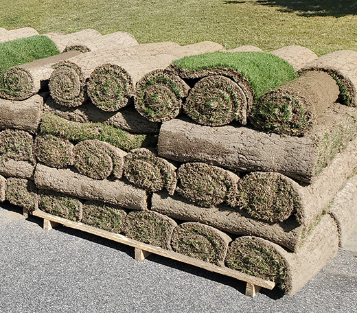 Sod rolls for installation — Peak Sodding