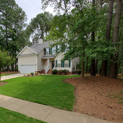 Sod for Low Maintenance