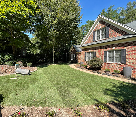 Sod Installation in Raleigh's Wyntree Neighborhood