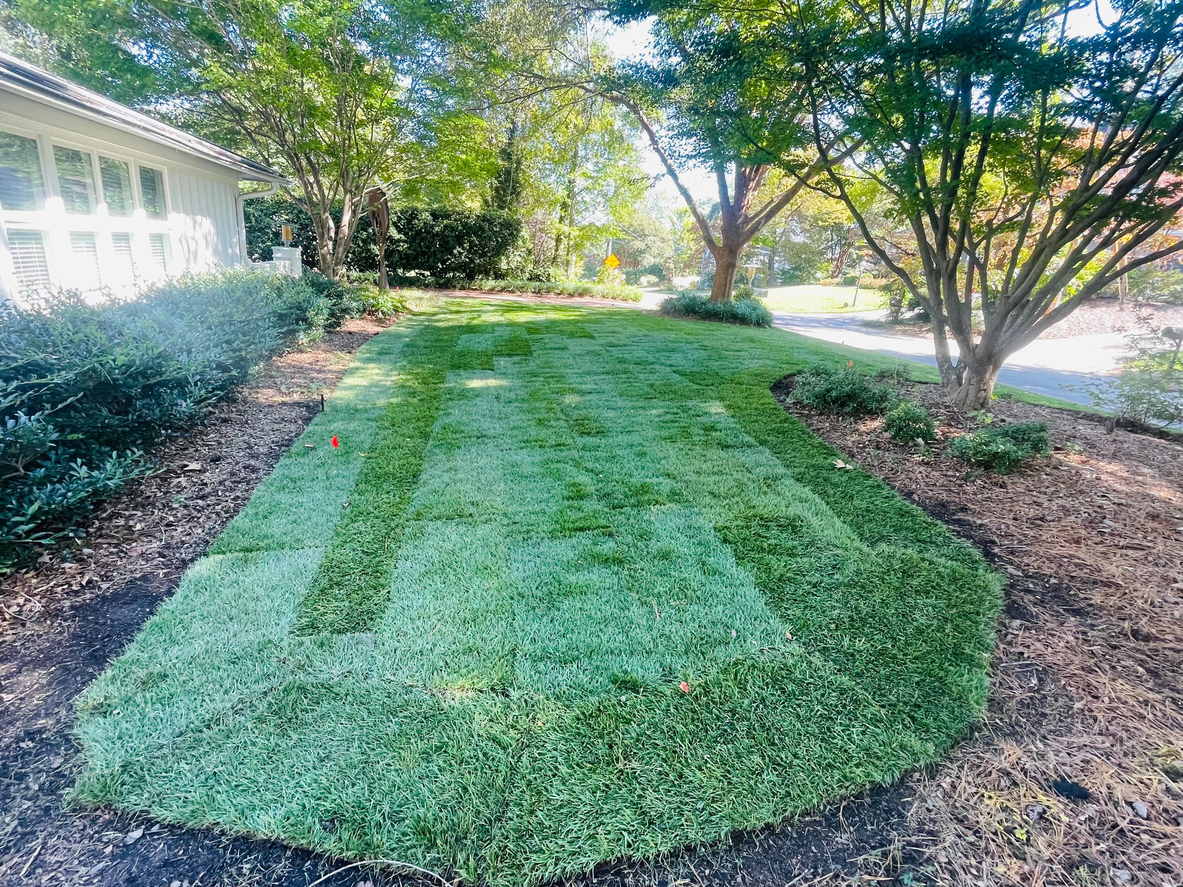 Fescue sod installation in Raleigh, NC