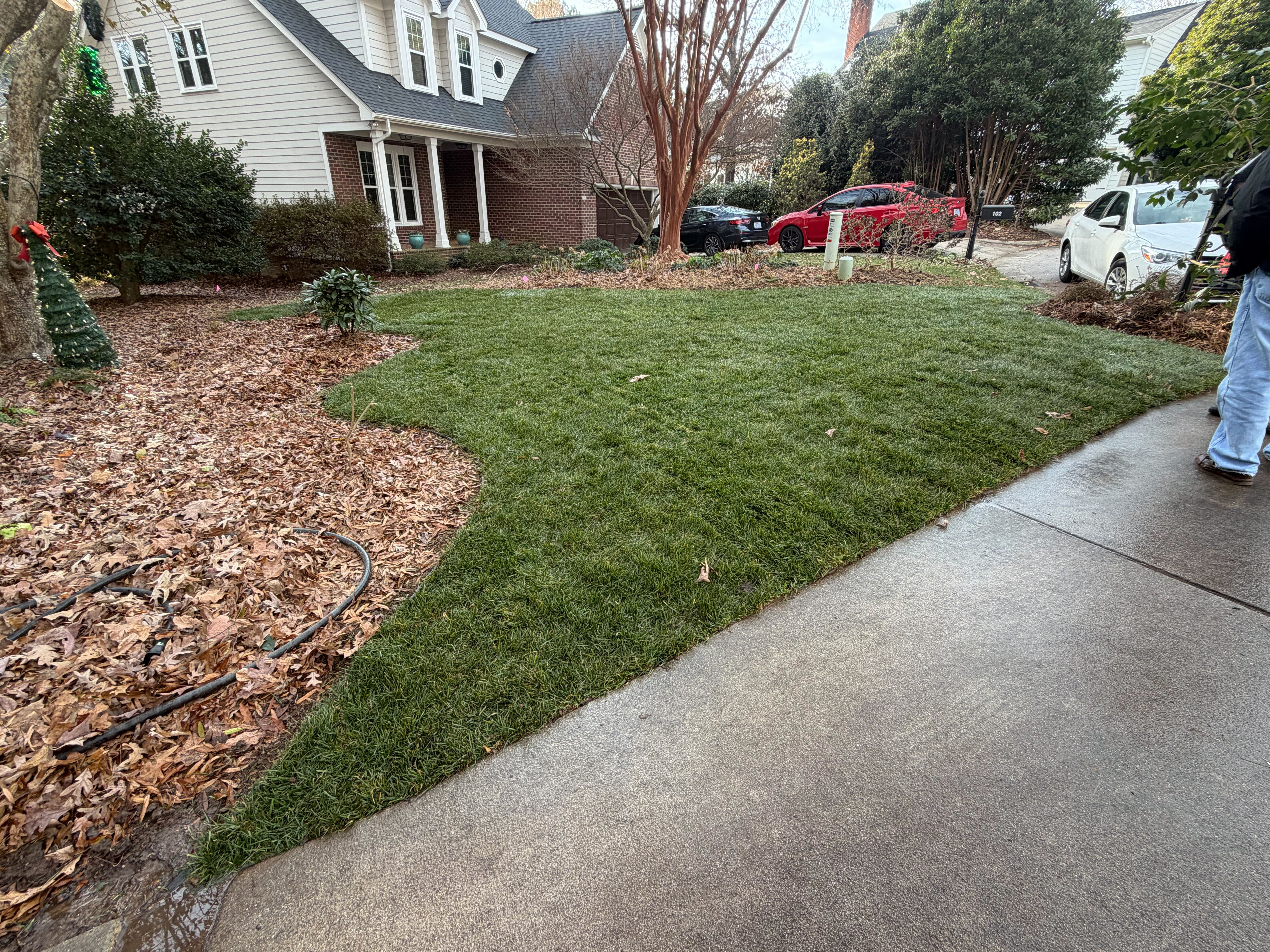 Fescue sod installation in Cary, NC