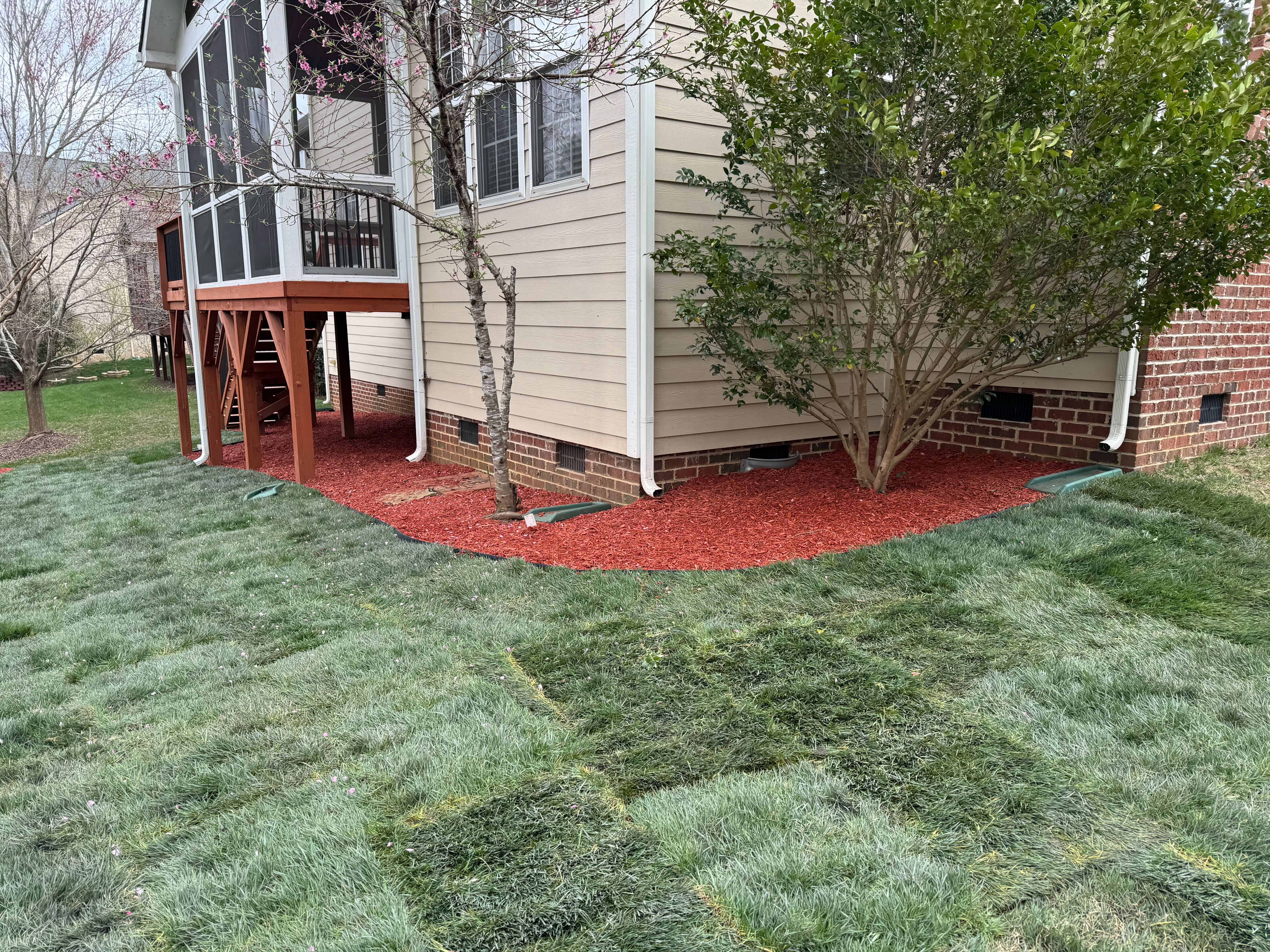 Fescue sod installation, Weston Estates
