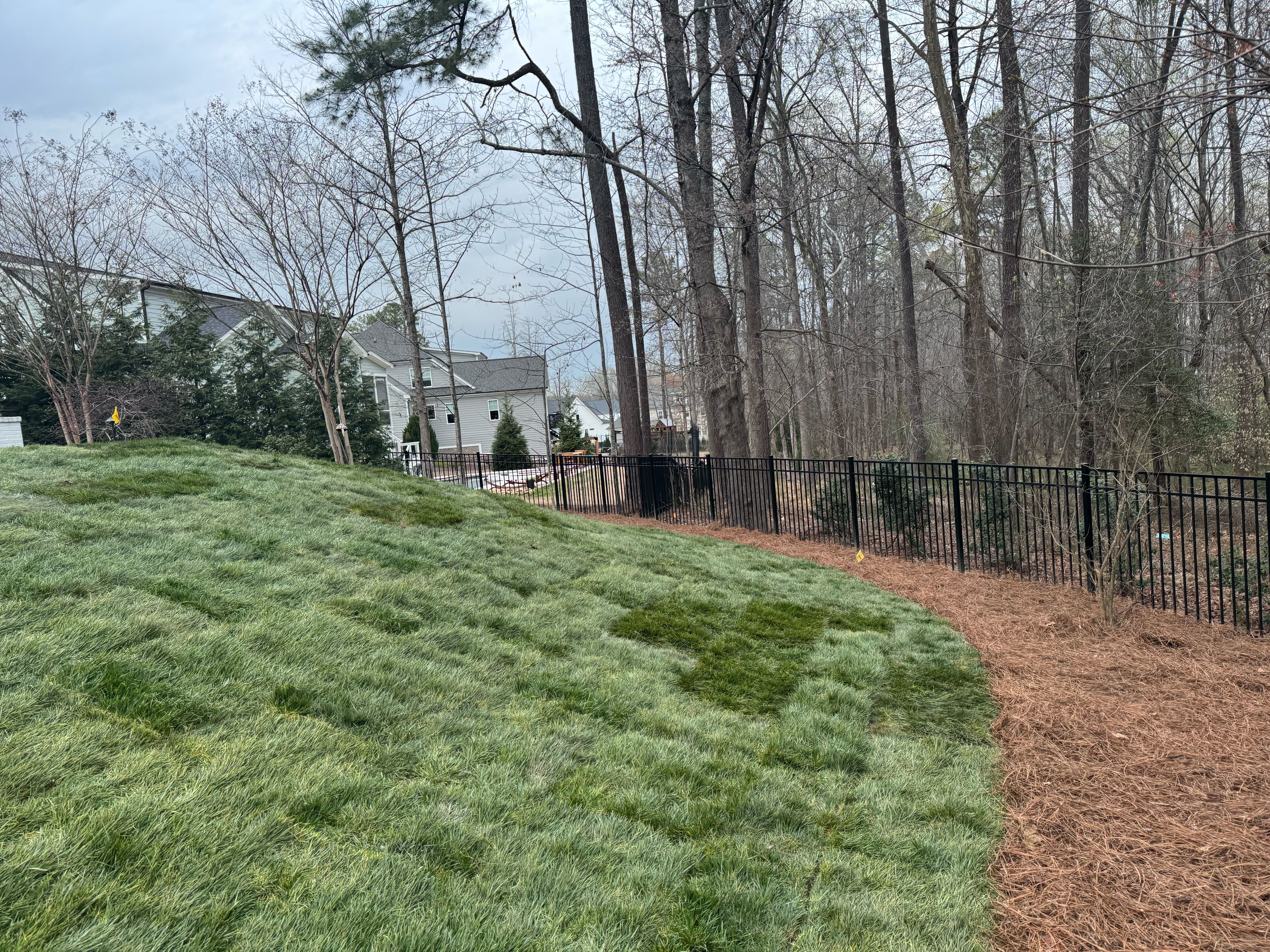 Peak Sodding Fescue lawn care in North Carolina