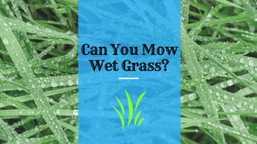 Can you mow wet grass?