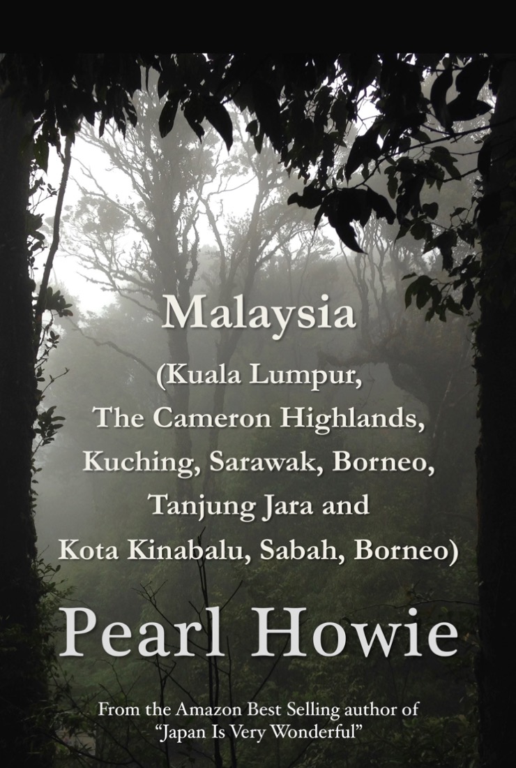 Book cover - Malaysia guide