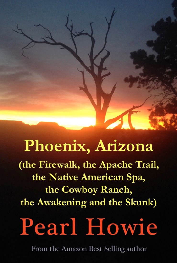 Book cover - Phoenix guide