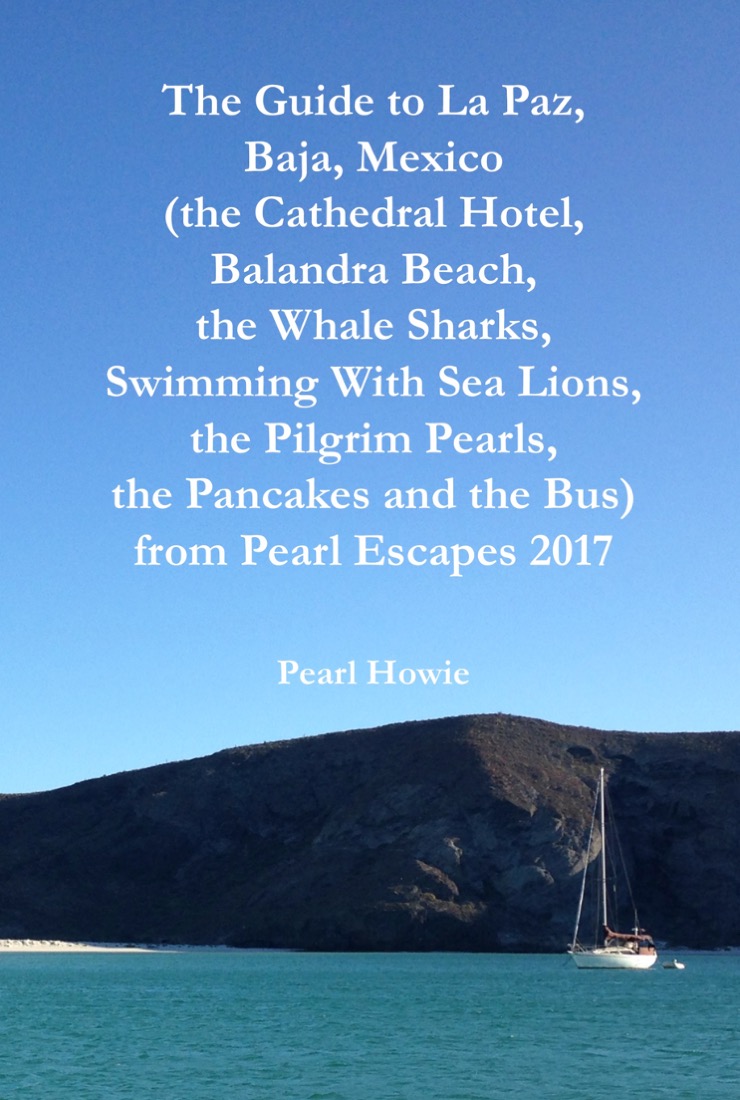Book cover - La Paz guide