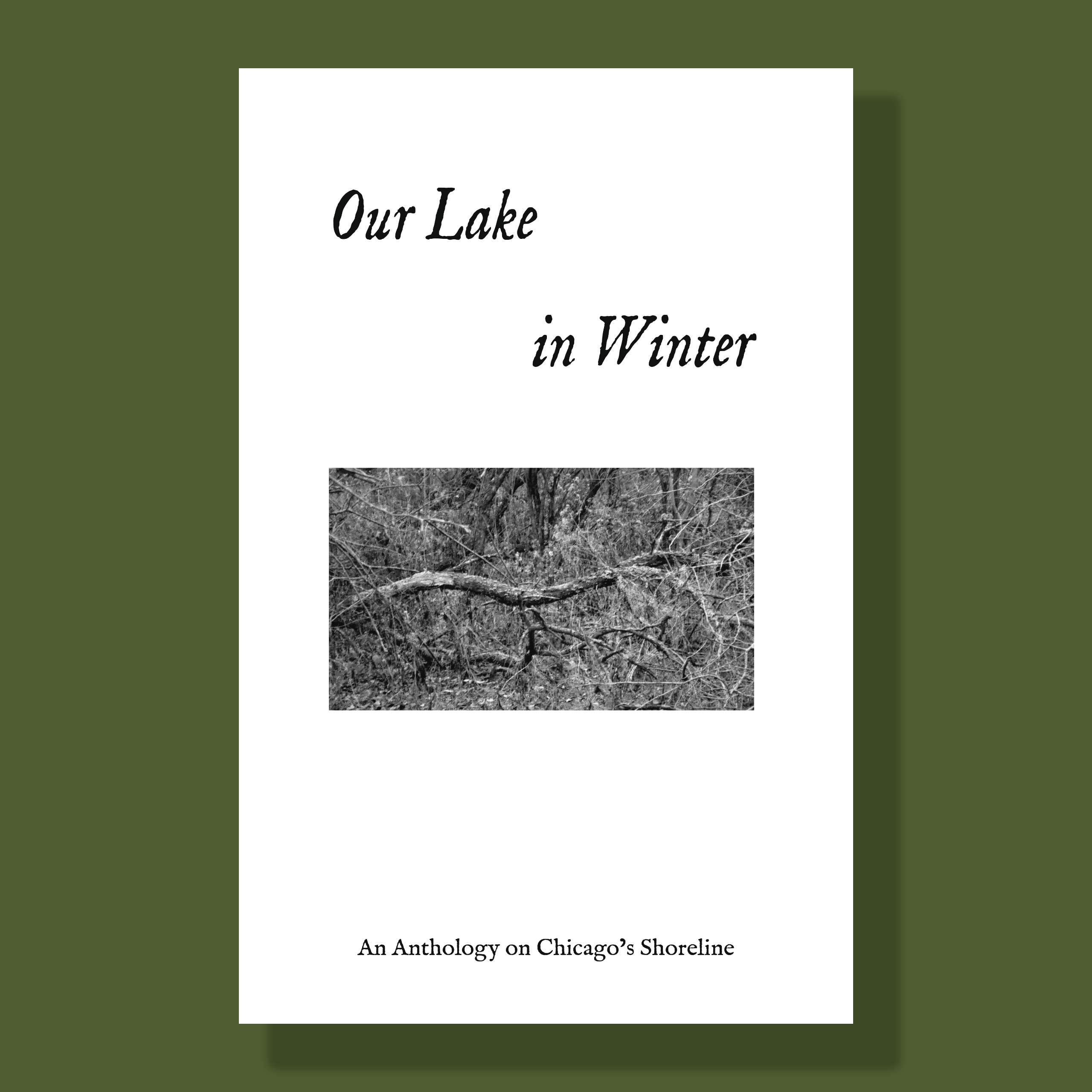 Our Lake in Winter Preorder