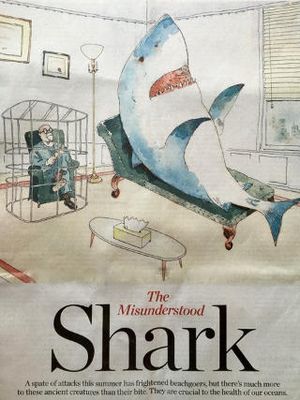 Misunderstood shark