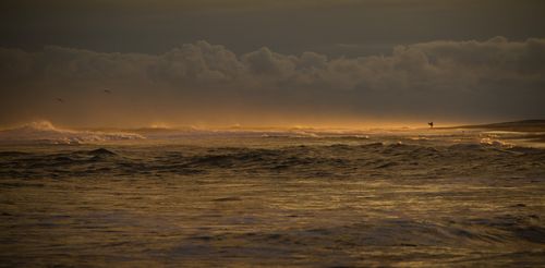 Untitled_by_jeff_schultz_photography Untitled_by_jeff_schultz_photography