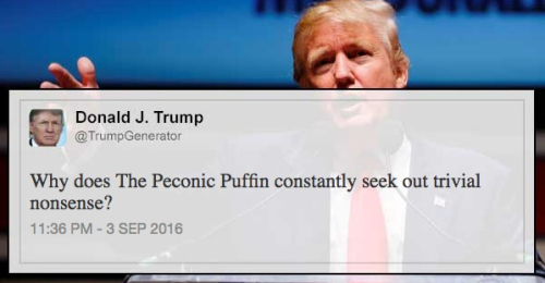 Trump puffin 2
