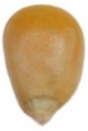 Github Popcorn Kernel Popcorn The Popcorn Kernel Project - High Quality City Pattern - 4K