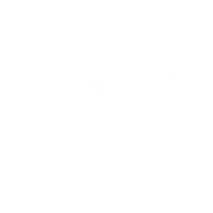Brookfield Properties, a Pedesting Zone in downtown Calgary
