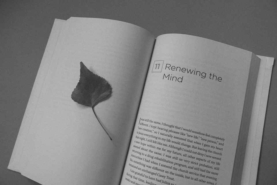 It consists of sentences and paragraphs, and is what most novels and . Difference Between Prose And Poetry Comparison Of Structure Language And Style Of Writing Etc