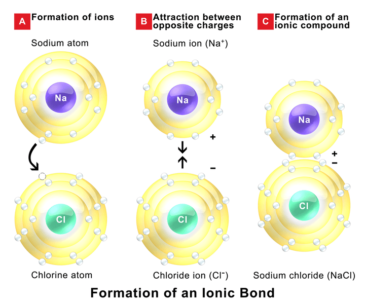 Difference Between Intermolecular and Intramolecular Forces ...