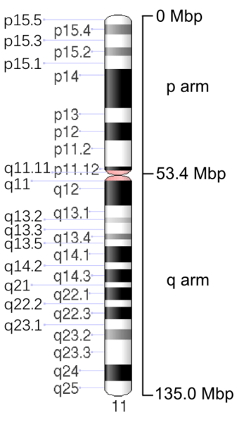 Difference Between Allele and Locus | Definition, Characteristics, Role