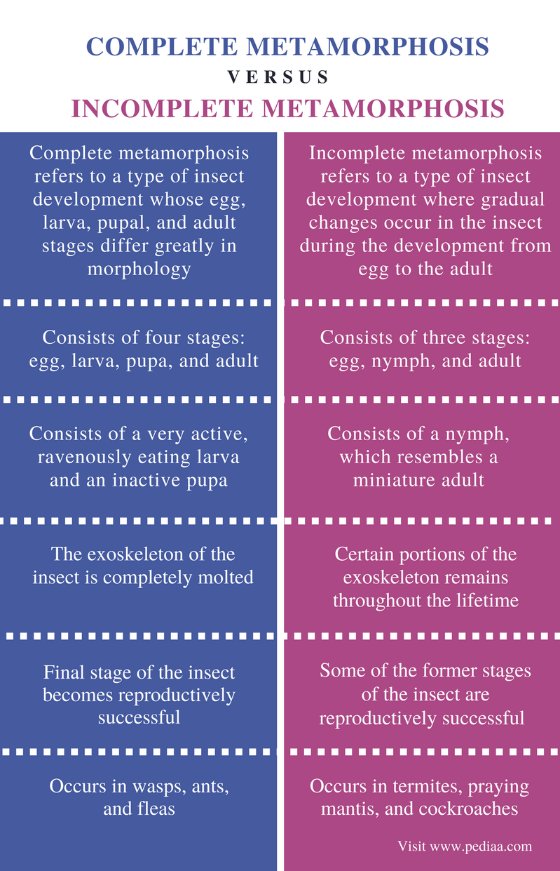 Difference Between Complete and Incomplete Metamorphosis | Definition ...