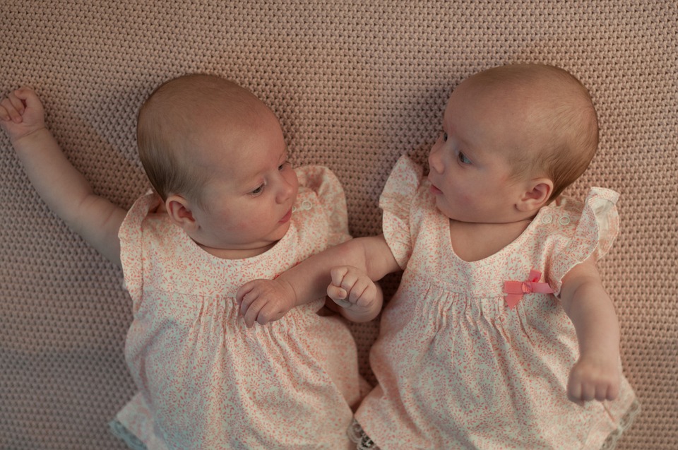 Difference Between Maternal And Paternal