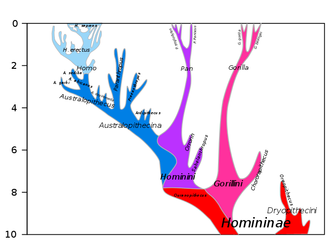 Difference Between Darwinism and Evolution - Pediaa.Com