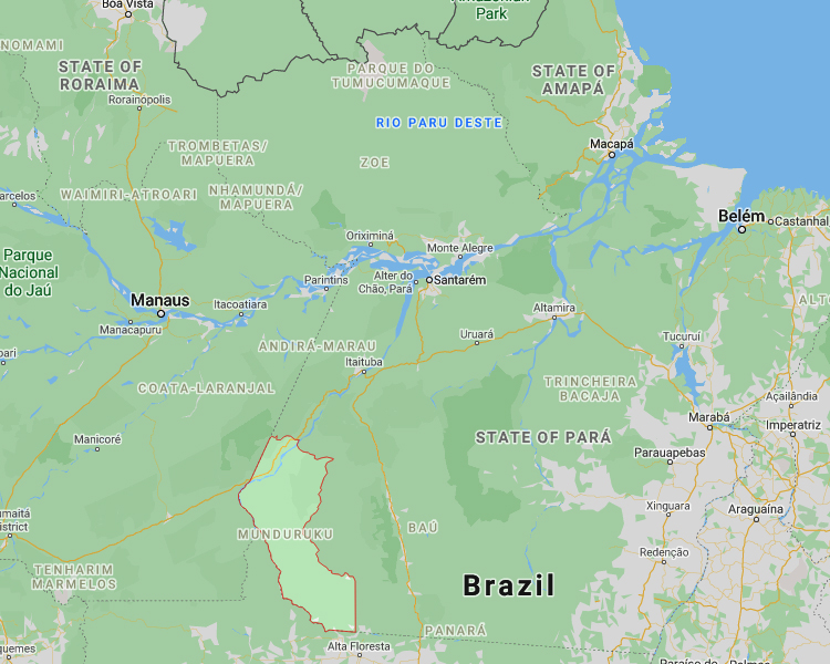 Ao Ver A Destruicao Causada Pelos Garimpos Ilegais No Rio Tapajos Ricardo Salles Esboca Sorriso Feliz