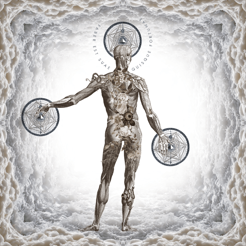 Faber est suae quisque fortunae Pedro Alves da Veiga