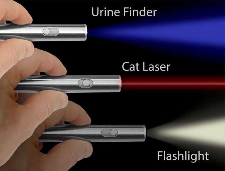 How to find cat urine with a black light