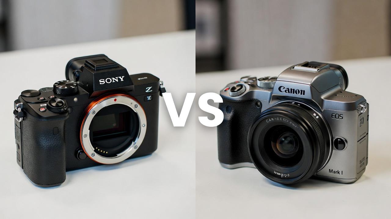 split screen of the sony and canon
