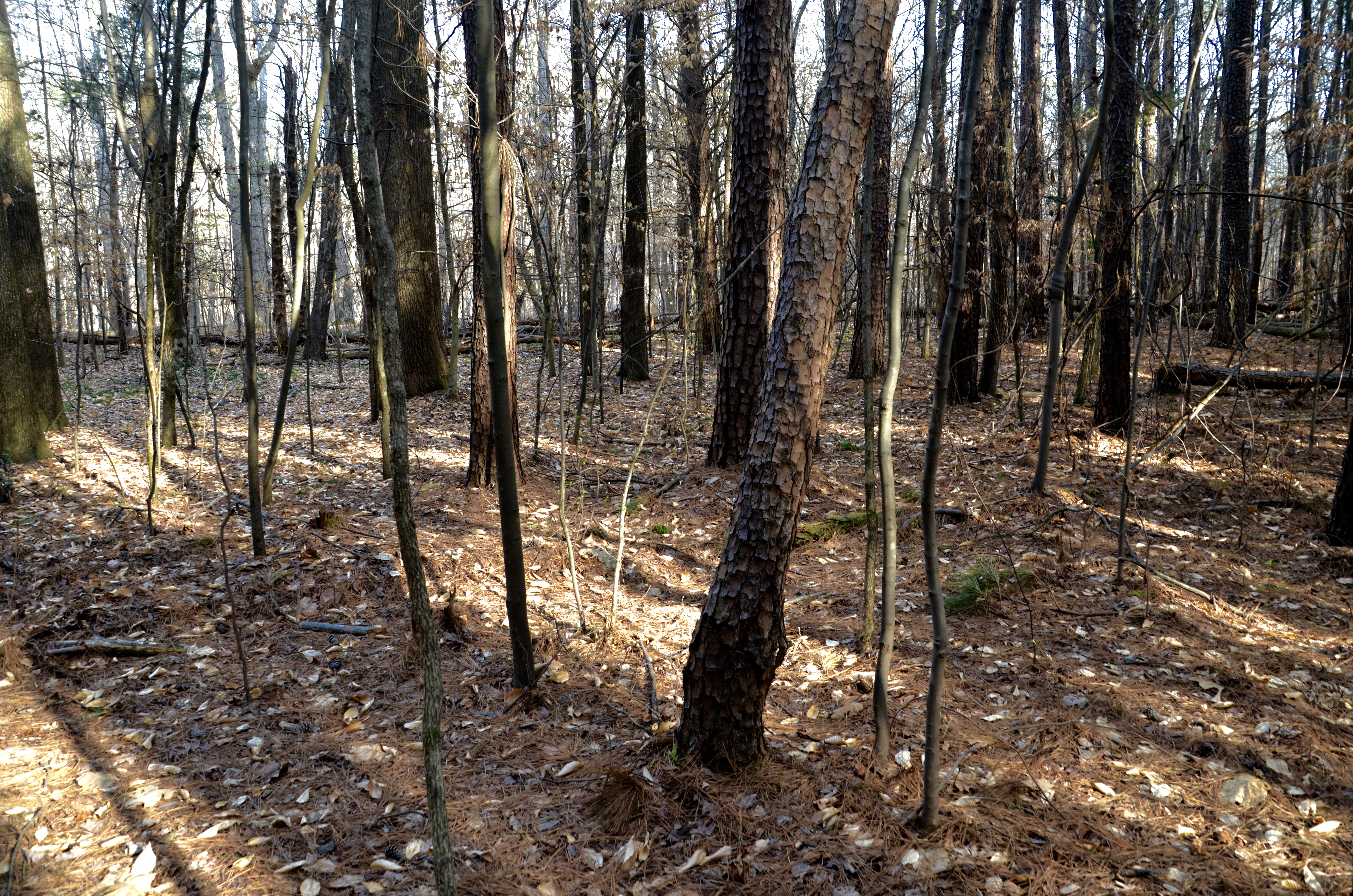exist pt. 3