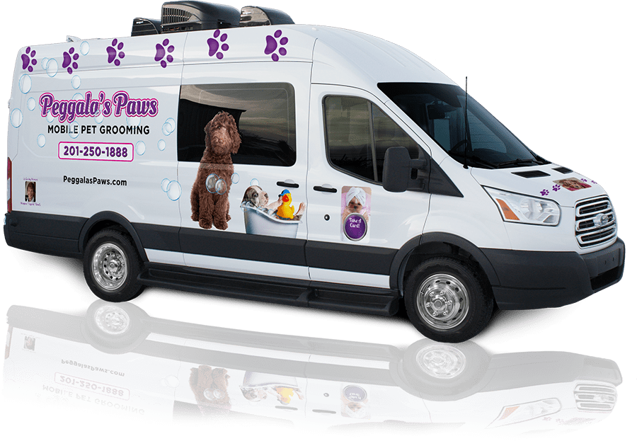 peggalas paws mobile pet grooming mobile grooming at your home on aussie mobile pet grooming reviews