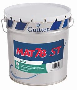 Peinture Mat 78 ST GUITTET 3L