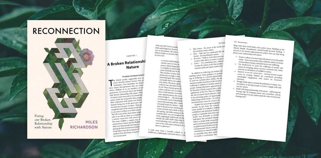 Reconnection Sample Chapter Pelagic Publishing