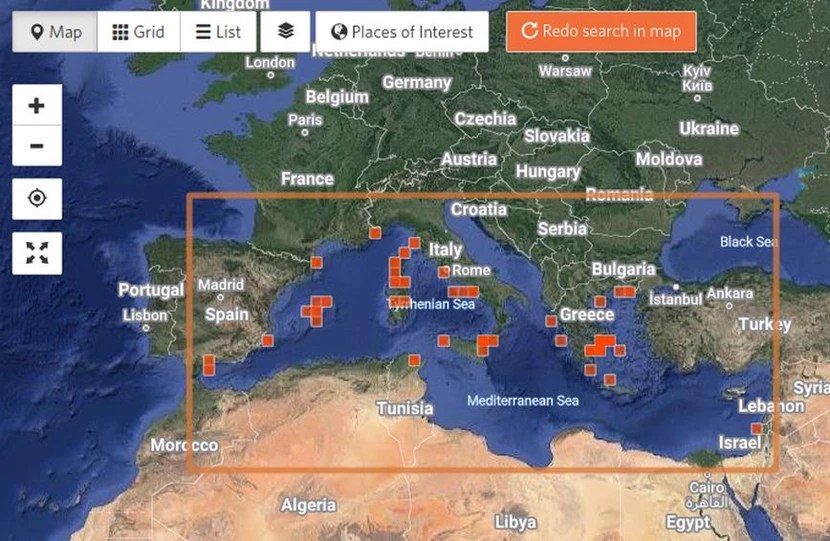 Εμφανίστηκαν και στο Ιόνιο οι μωβ μέδουσες - Πού έχουν ήδη καταγραφεί