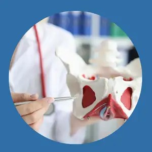 learn from pelvic health experts